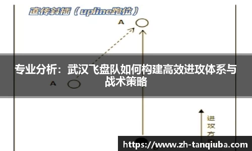 专业分析：武汉飞盘队如何构建高效进攻体系与战术策略